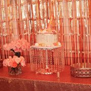 Westchester Birthday Celebrations at The Somers Pointe & The Grille at Somers Pointe