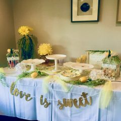 Baby Showers & Bridal Shower Venue Westchester at The Somers Pointe & The Grille at Somers Pointe